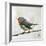 Robin on Wire-Angela Moulton-Framed Art Print