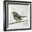 Robin on Wire-Angela Moulton-Framed Art Print