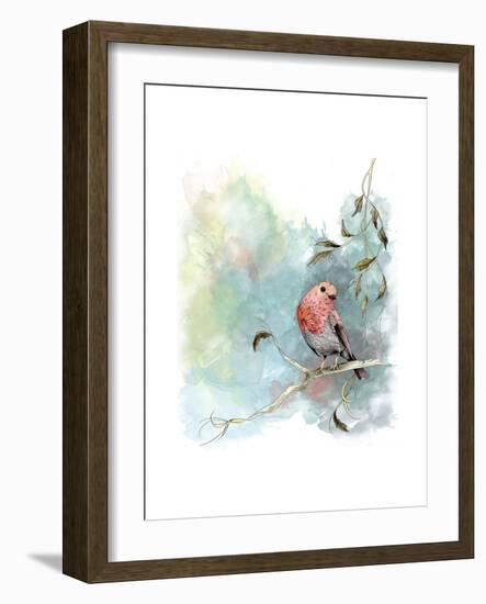 Robin's Winter-The Tangled Peacock-Framed Giclee Print