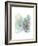 Robin's Winter-The Tangled Peacock-Framed Giclee Print