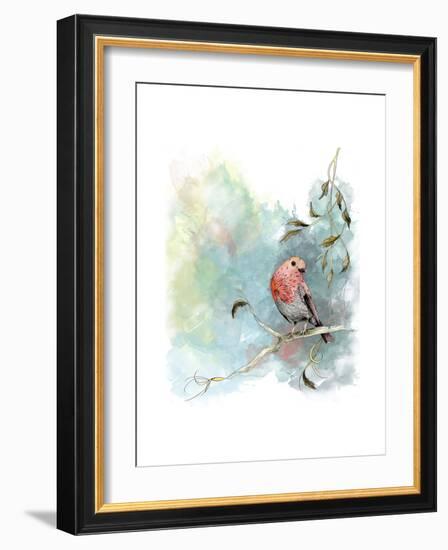 Robin's Winter-The Tangled Peacock-Framed Giclee Print