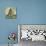Robin Still Life-Blenda Tyvoll-Premium Giclee Print displayed on a wall