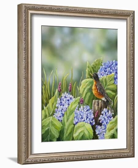 Robin with Hydrangeas-Sarah Davis-Framed Giclee Print