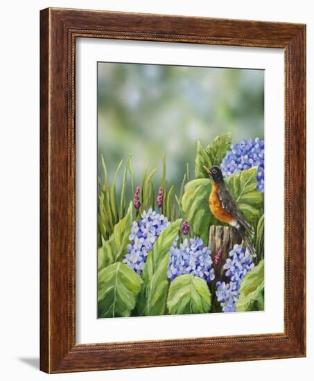 Robin with Hydrangeas-Sarah Davis-Framed Giclee Print