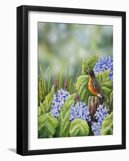 Robin with Hydrangeas-Sarah Davis-Framed Giclee Print