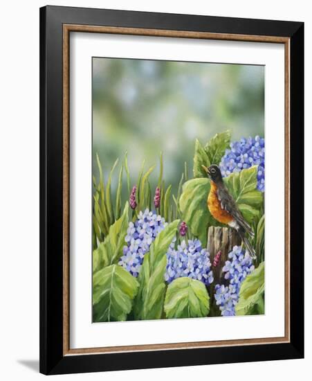 Robin with Hydrangeas-Sarah Davis-Framed Giclee Print