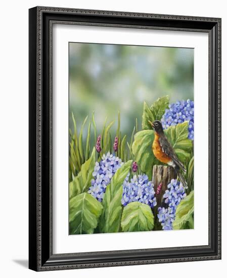 Robin with Hydrangeas-Sarah Davis-Framed Giclee Print