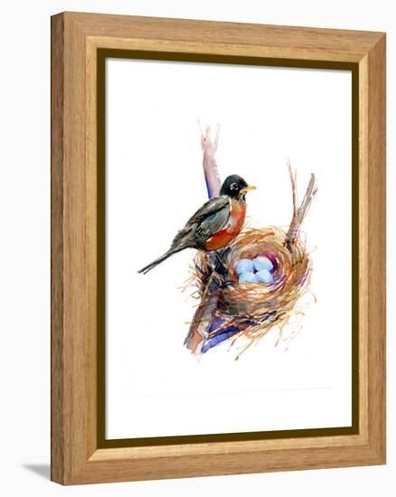 Robin with Nest;2016-John Keeling-Framed Premier Image Canvas