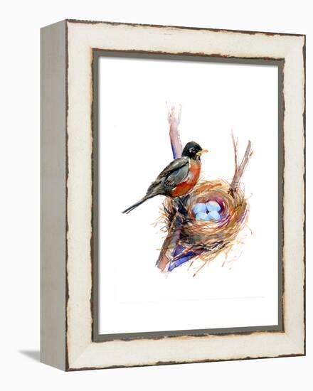 Robin with Nest;2016-John Keeling-Framed Premier Image Canvas