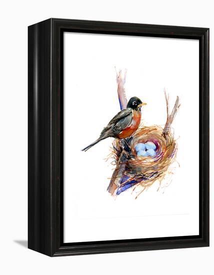 Robin with Nest;2016-John Keeling-Framed Premier Image Canvas