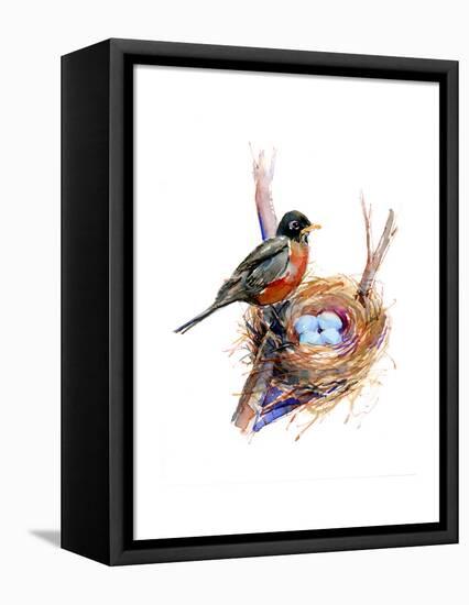 Robin with Nest;2016-John Keeling-Framed Premier Image Canvas