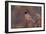 Robin-null-Framed Photographic Print