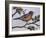 Robin-Debbi Wetzel-Framed Giclee Print