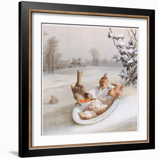 Robins and Wrens: Winter Breakfast, Postcard (Colour Litho)-Harry Bright-Framed Giclee Print