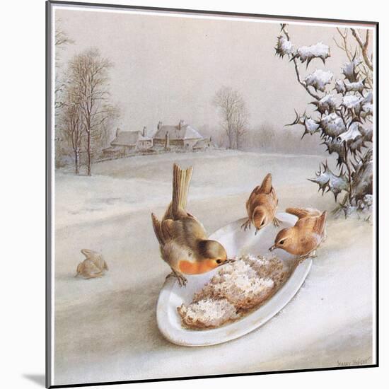 Robins and Wrens: Winter Breakfast, Postcard (Colour Litho)-Harry Bright-Mounted Giclee Print