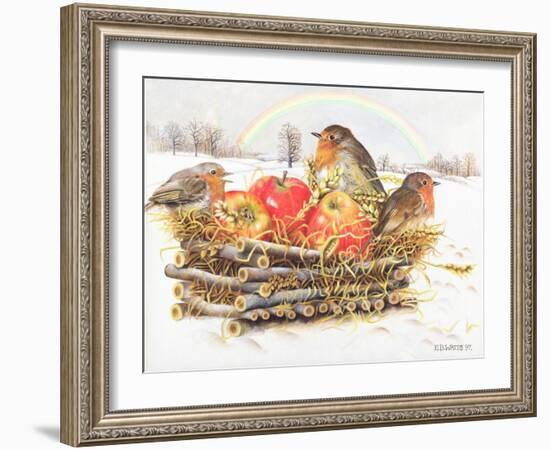 Robins with Apples, 1997-E.B. Watts-Framed Giclee Print