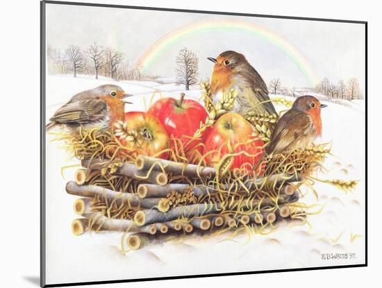 Robins with Apples, 1997-E.B. Watts-Mounted Giclee Print