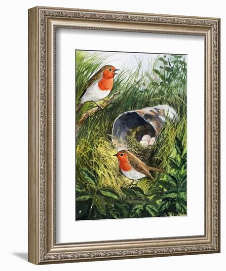 Robins-English School-Framed Giclee Print