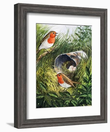 Robins-English School-Framed Giclee Print