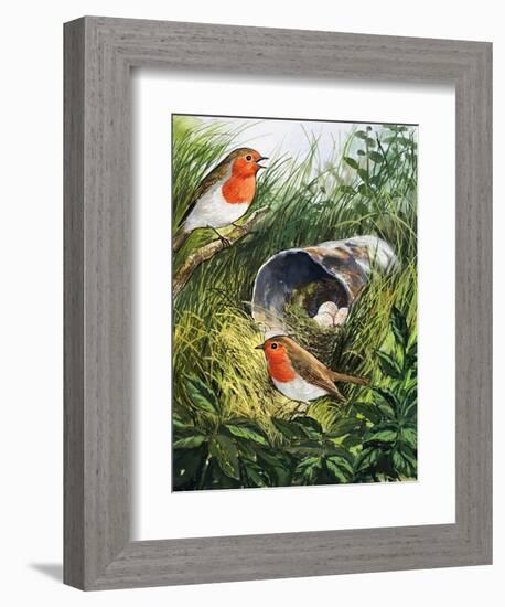 Robins-English School-Framed Giclee Print