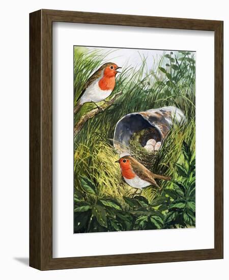 Robins-English School-Framed Giclee Print