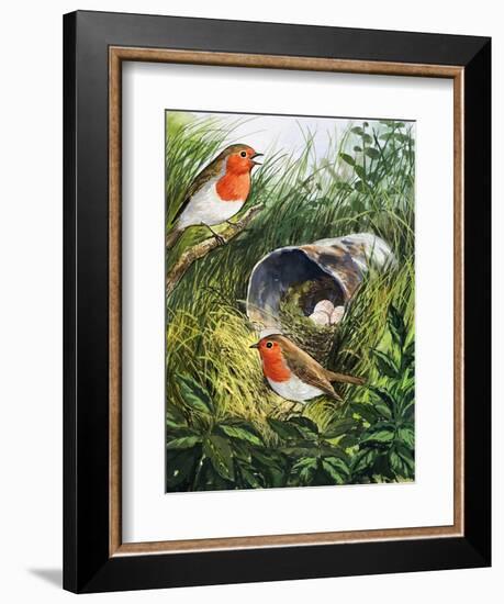 Robins-English School-Framed Giclee Print