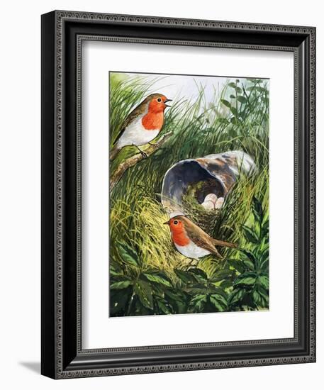 Robins-English School-Framed Giclee Print