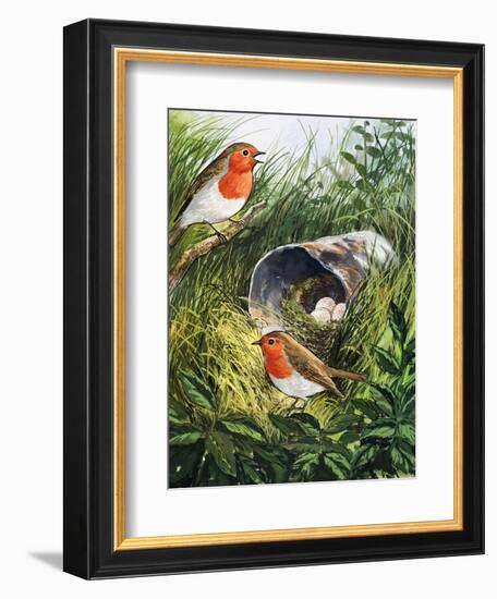 Robins-English School-Framed Giclee Print