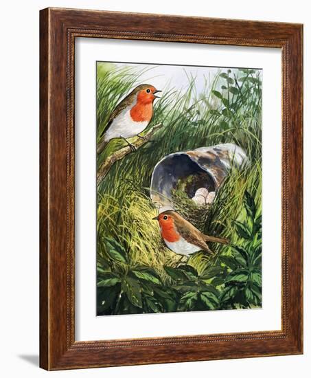 Robins-English School-Framed Giclee Print