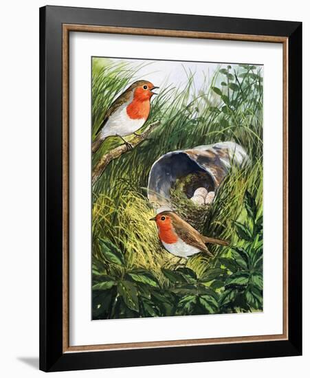 Robins-English School-Framed Giclee Print