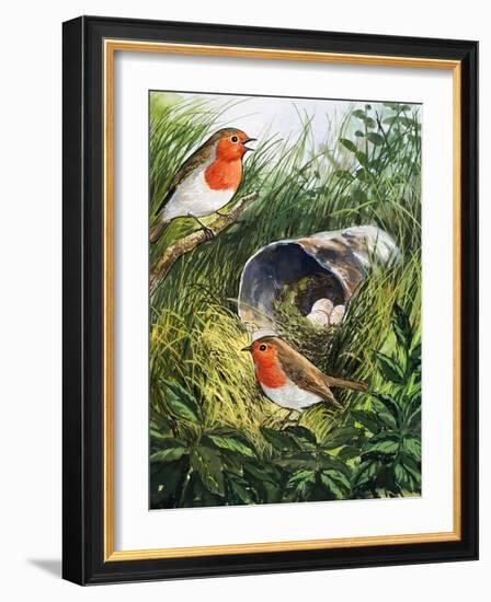 Robins-English School-Framed Giclee Print