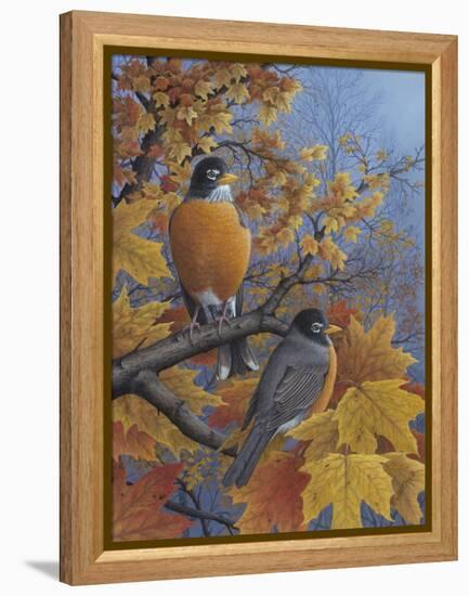 Robins-Robert Wavra-Framed Premier Image Canvas