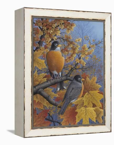 Robins-Robert Wavra-Framed Premier Image Canvas