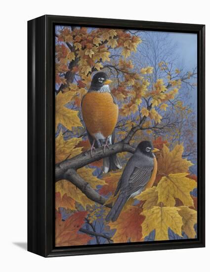 Robins-Robert Wavra-Framed Premier Image Canvas