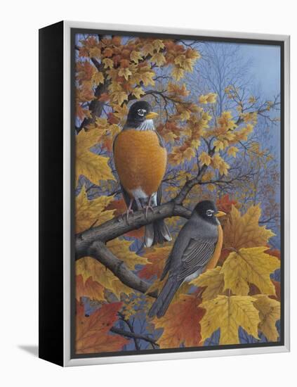 Robins-Robert Wavra-Framed Premier Image Canvas