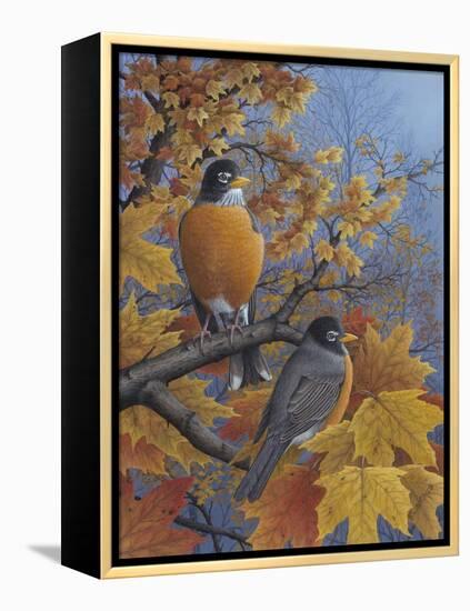 Robins-Robert Wavra-Framed Premier Image Canvas