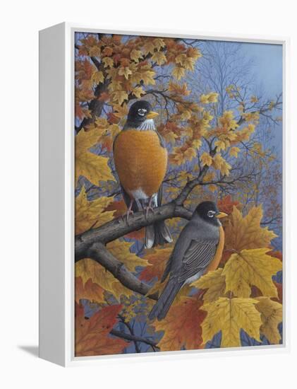 Robins-Robert Wavra-Framed Premier Image Canvas