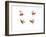 Robins-MAKIKO-Framed Giclee Print