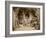 Robinson Crusoe, C.1856 (Albumen Silver Print from Glass Negative)-William Henry Lake Price-Framed Giclee Print