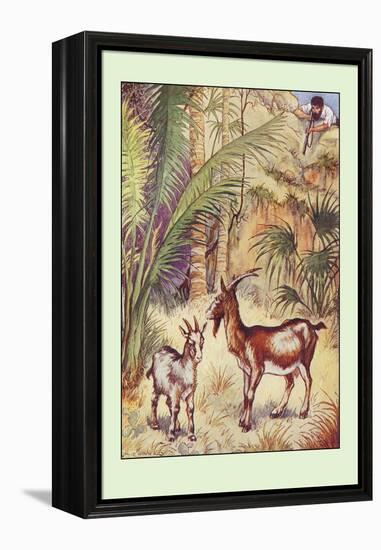 Robinson Crusoe: Having No Victuals to Eat, I Killed a She-Goat-Milo Winter-Framed Stretched Canvas