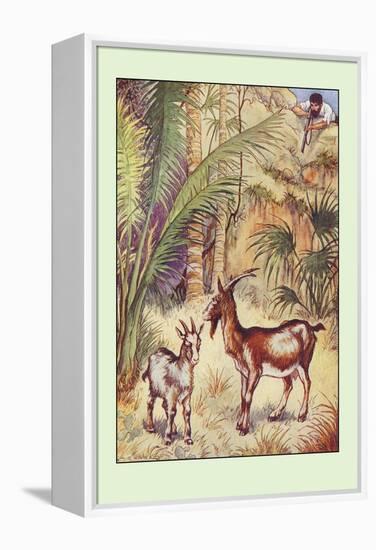 Robinson Crusoe: Having No Victuals to Eat, I Killed a She-Goat-Milo Winter-Framed Stretched Canvas