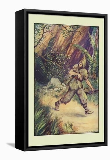 Robinson Crusoe: I Must Confess-Milo Winter-Framed Stretched Canvas