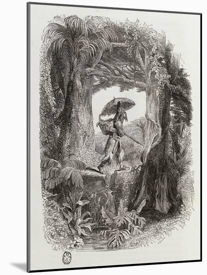Robinson Crusoe, Novel by Daniel Defoe-null-Mounted Giclee Print