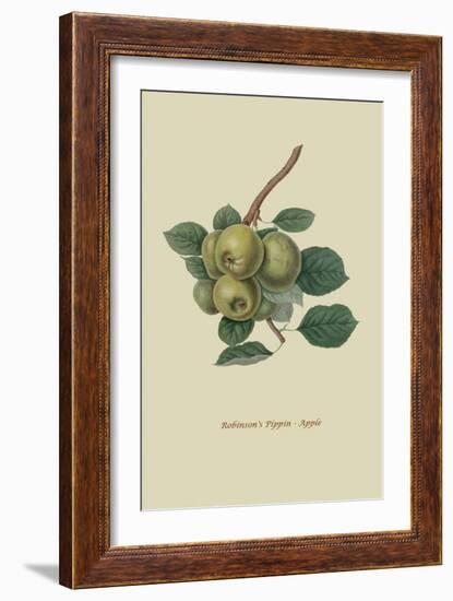 Robinson's Pippin - Apple-William Hooker-Framed Art Print