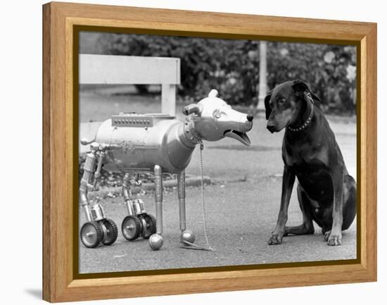 Robot Dog Meets a Real Doberman Dog-null-Framed Premier Image Canvas