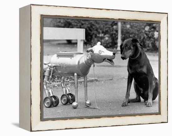 Robot Dog Meets a Real Doberman Dog-null-Framed Premier Image Canvas