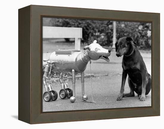 Robot Dog Meets a Real Doberman Dog-null-Framed Premier Image Canvas