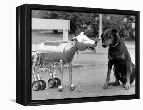 Robot Dog Meets a Real Doberman Dog-null-Framed Premier Image Canvas