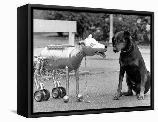 Robot Dog Meets a Real Doberman Dog-null-Framed Premier Image Canvas