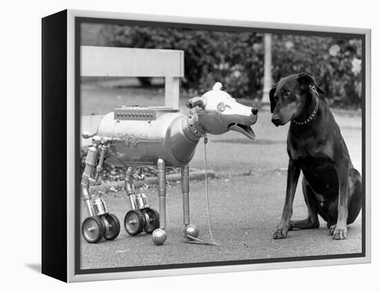 Robot Dog Meets a Real Doberman Dog-null-Framed Premier Image Canvas